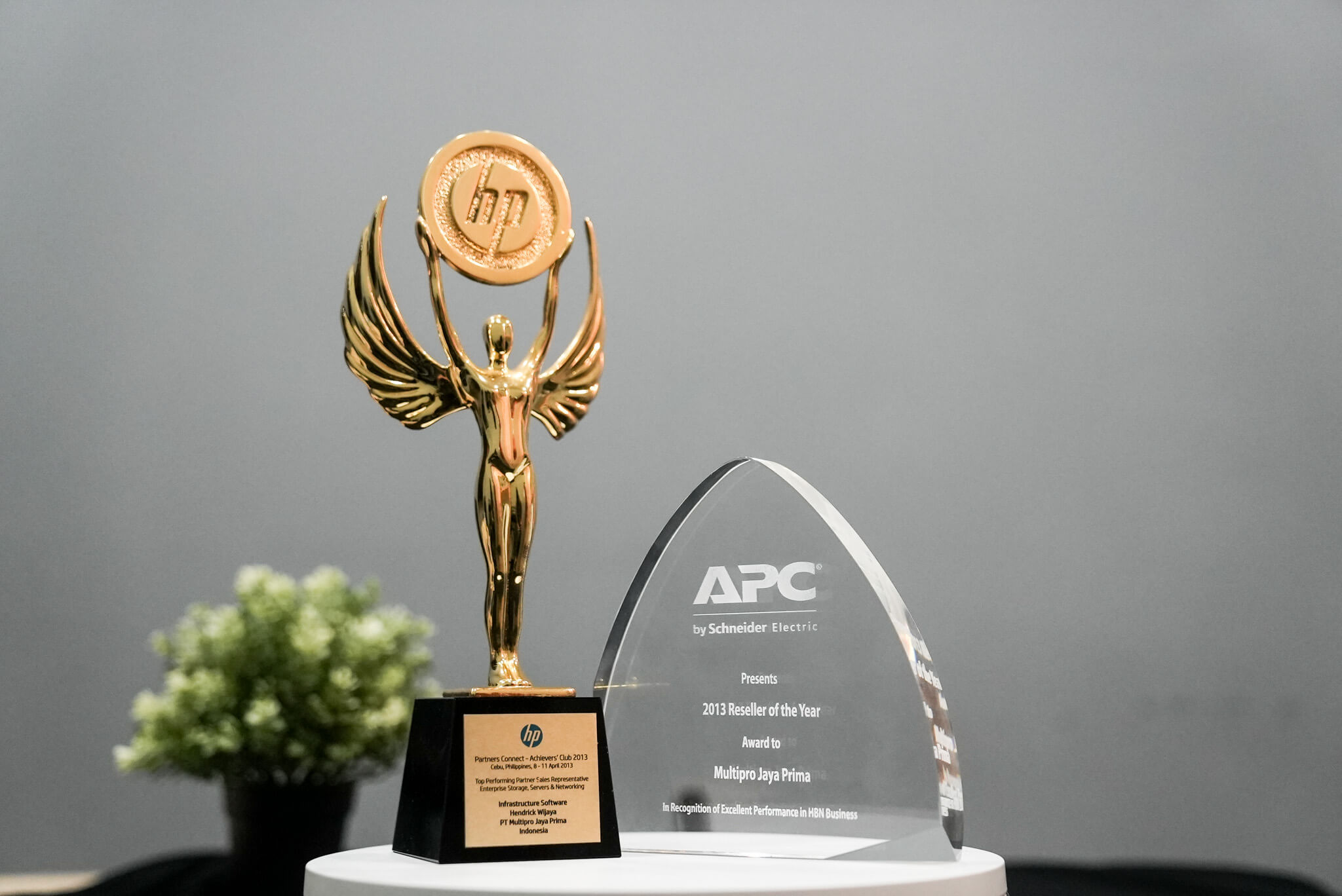 DSC07435 award multipro 2013