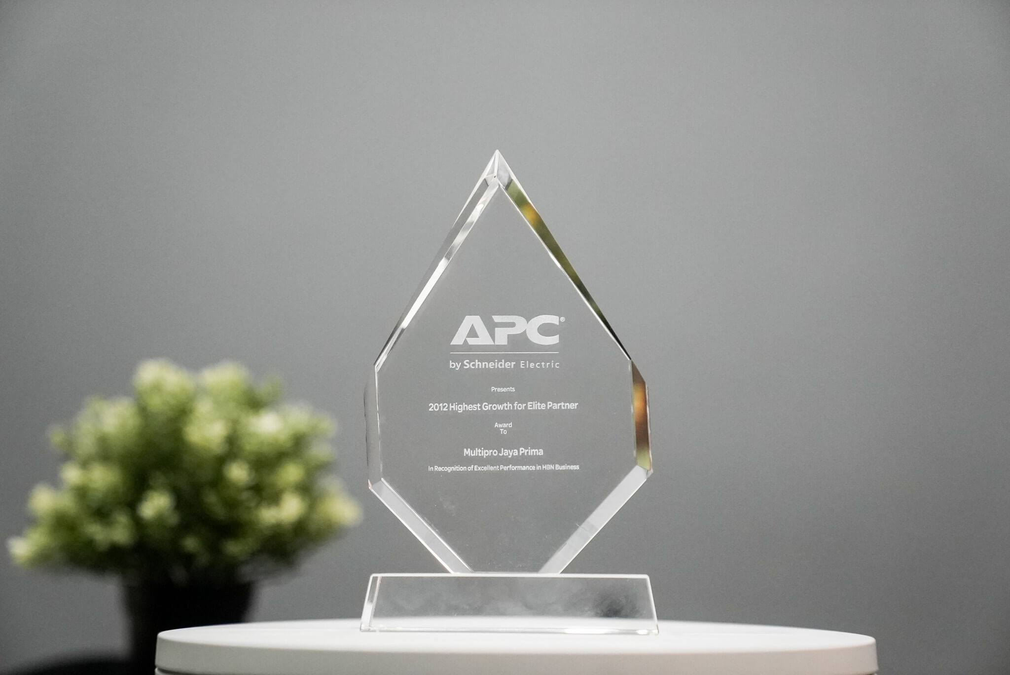 DSC07437 award multipro 2012