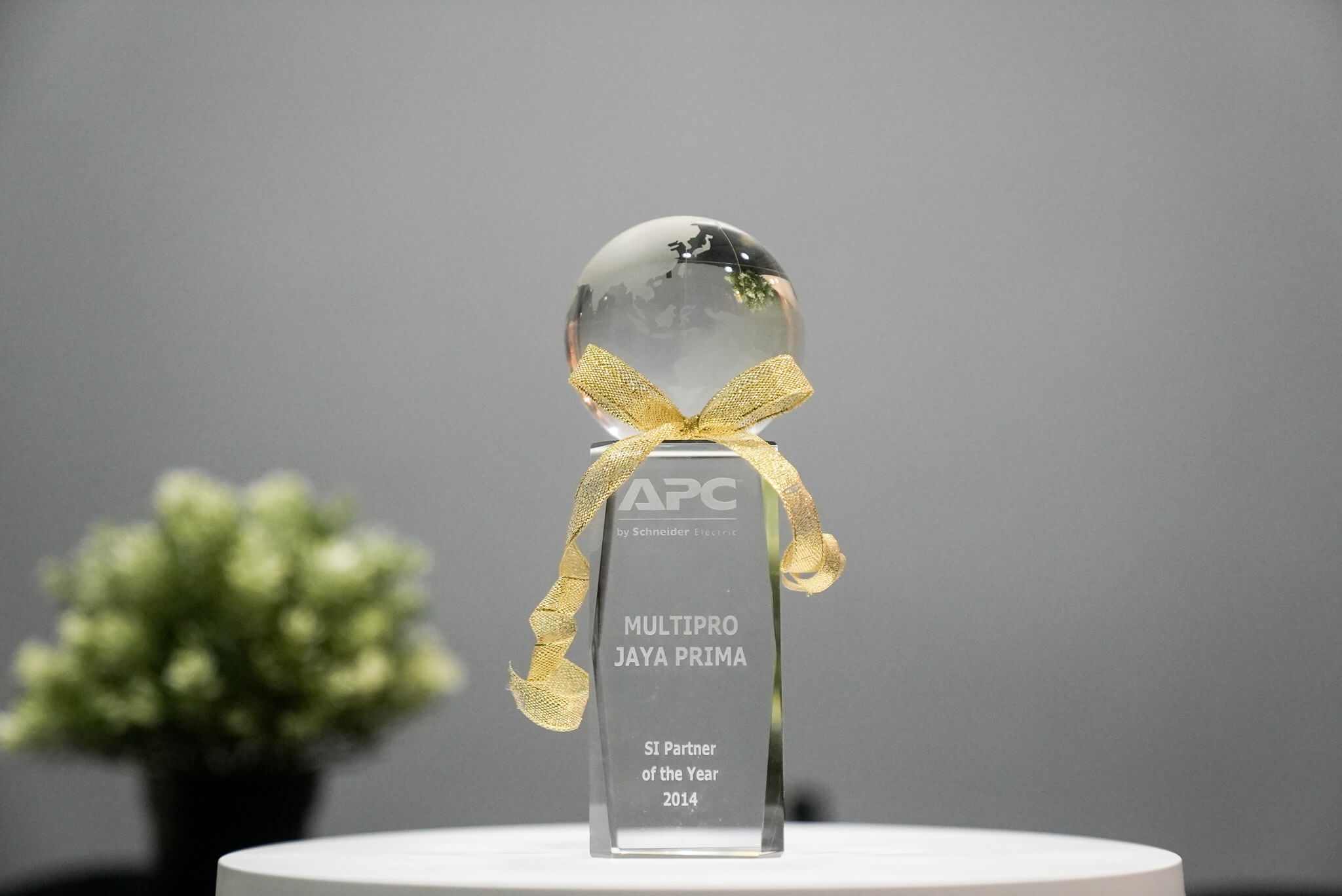 DSC07439 award multipro 2014