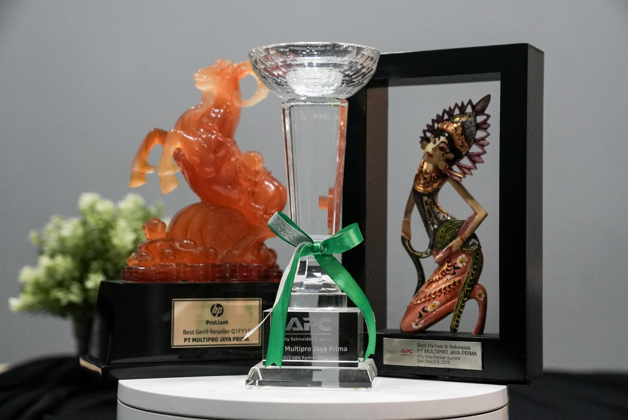 DSC07442 award multipro 2014