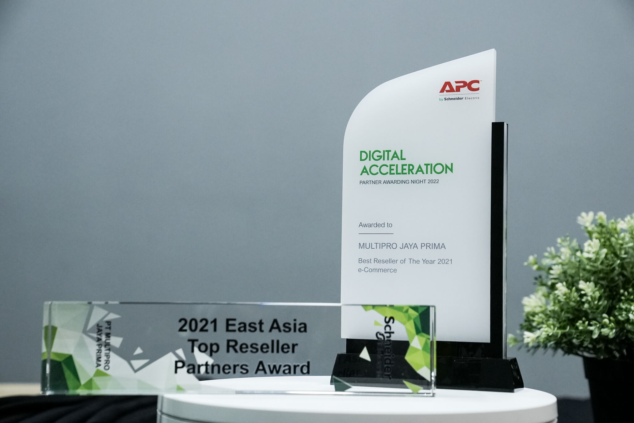 DSC07447 award multipro 2014