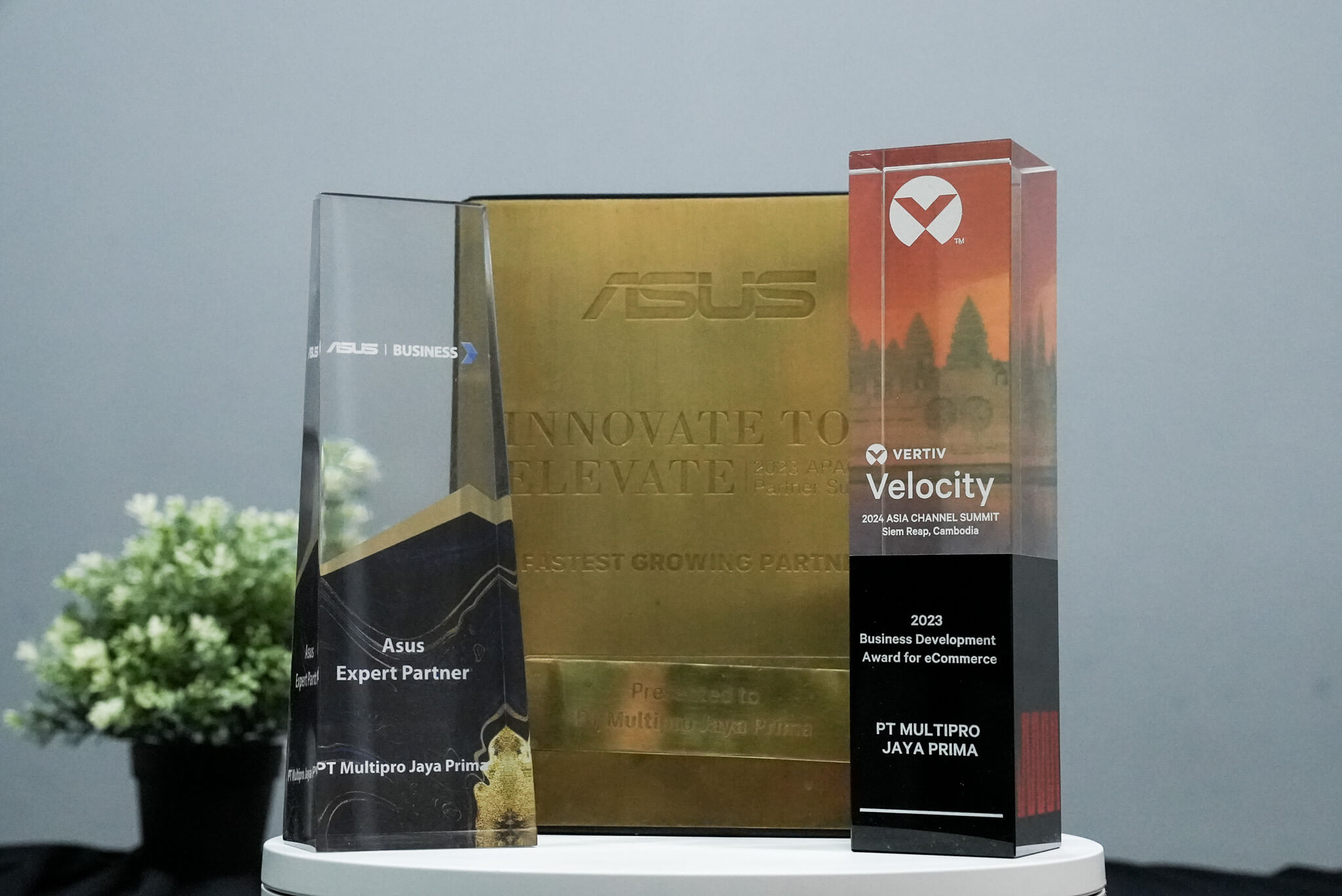 DSC07452 award multipro 2013