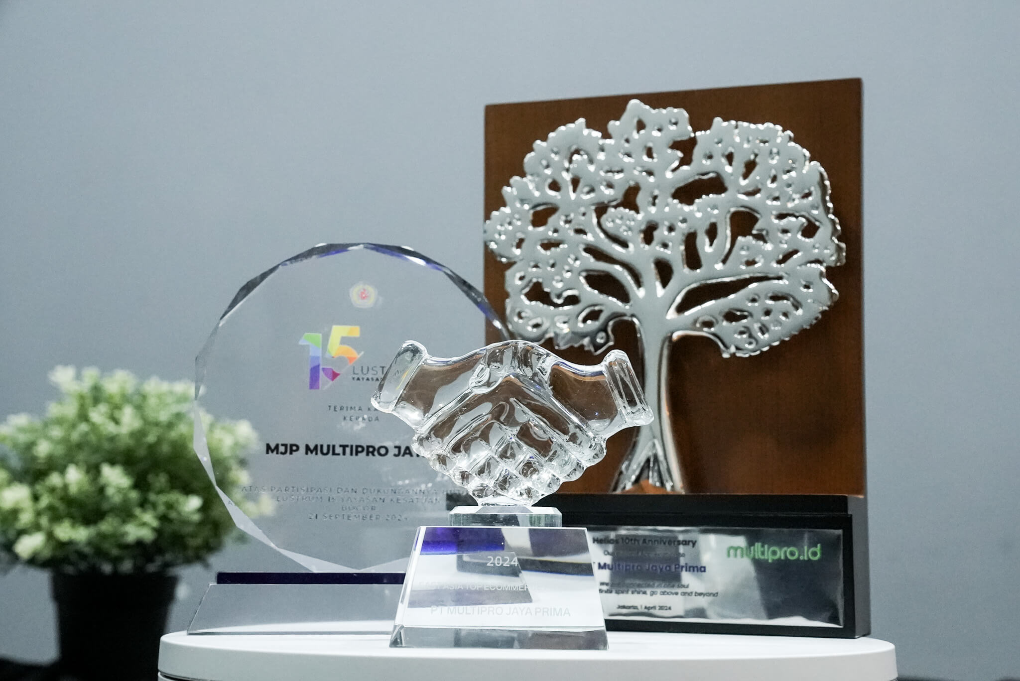 DSC07455 award multipro 2014