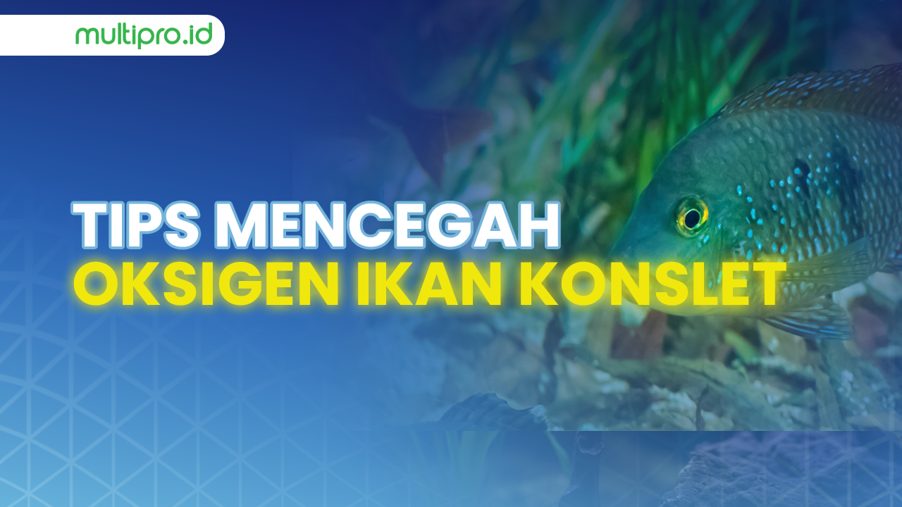 ARTIKEL WEBSITE IKAN (1)