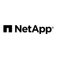 cari netapp storage